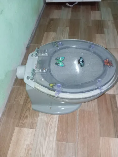 Vaso sanitário tampa acrílica 80 reais entregar entregar se for BH com pequena taxa 