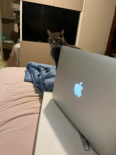 MacBook Air 2017