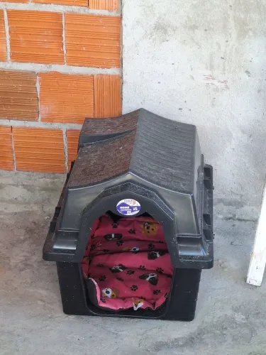 Casinha de cachorro 
