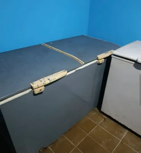 Freezer Horizontal Electrolux H500 Duas Portas (Grande Capacidade)