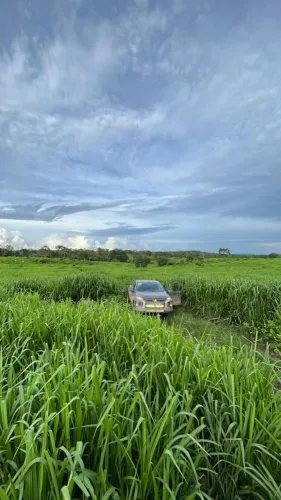 Fazenda para Venda em Miracema do Tocantins