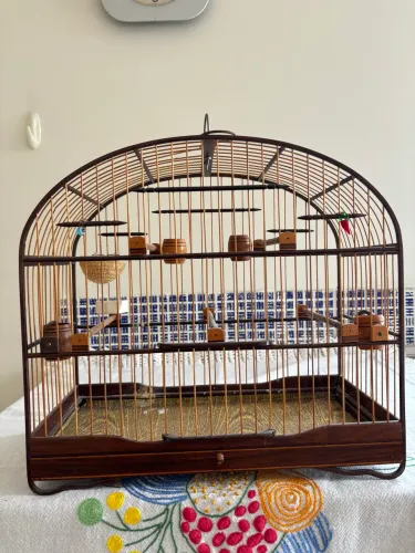 Gaiolas para Pássaros 