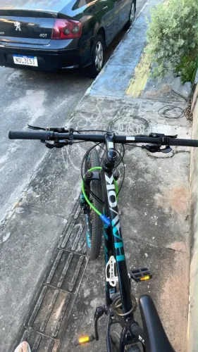 Bicicleta Audax