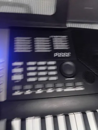 Pegasus p222