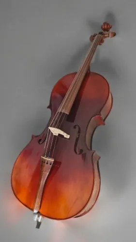 Violoncelo Rolim