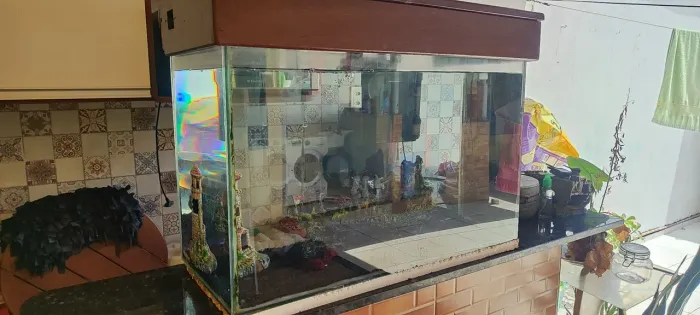 Aquario completo
