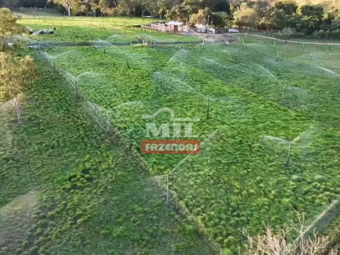 Chácara 2,35 alqueires (11,37 hectares) Itapuranga - Go