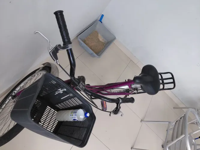 Bicicleta roxa