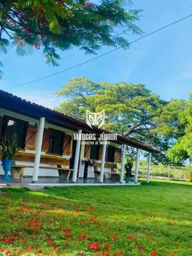 VENDO FAZENDA DE 580 HAC NA REGIÃO DE LAGOA DOS PATOS PARA PECUÁRIA ESTRUTURADA NO NORTE D