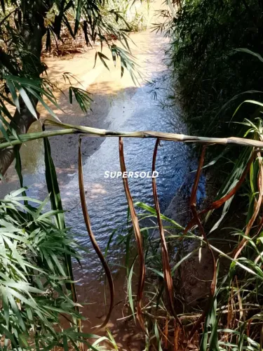 Terreno em Condomínio à Venda 2.000m² - Morro das Pedras - Valinhos/SP