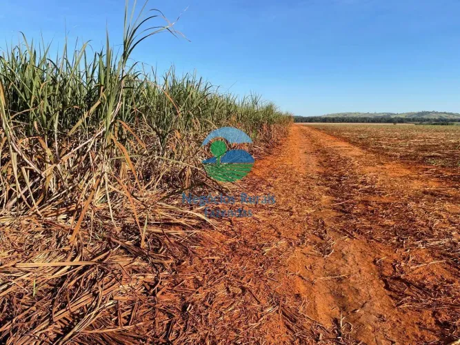 Fazenda extra em cana 150 alq (726ha)