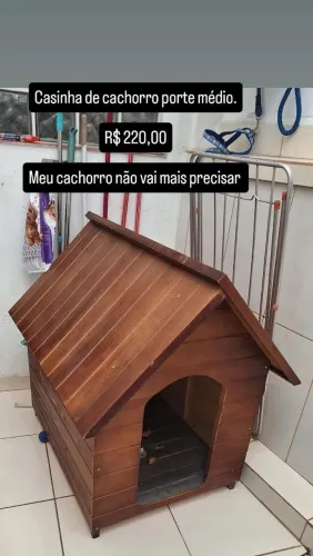 Casinha de cachorro porte médio
