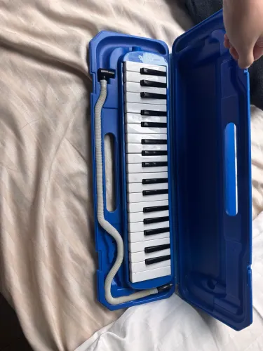 ESCALETA DOLPHIN 