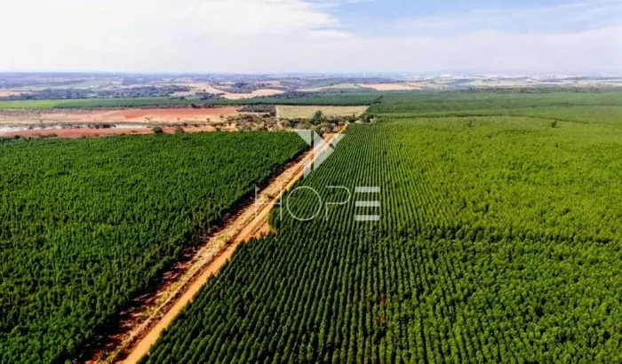 Fazenda à venda com Eucalipto 321 alqueires - 777 hectares - arrendada Para Suzano - beira