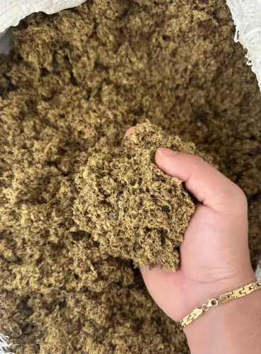 Torta de algodão para alimentação de bovinos