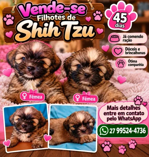 Vende-se 