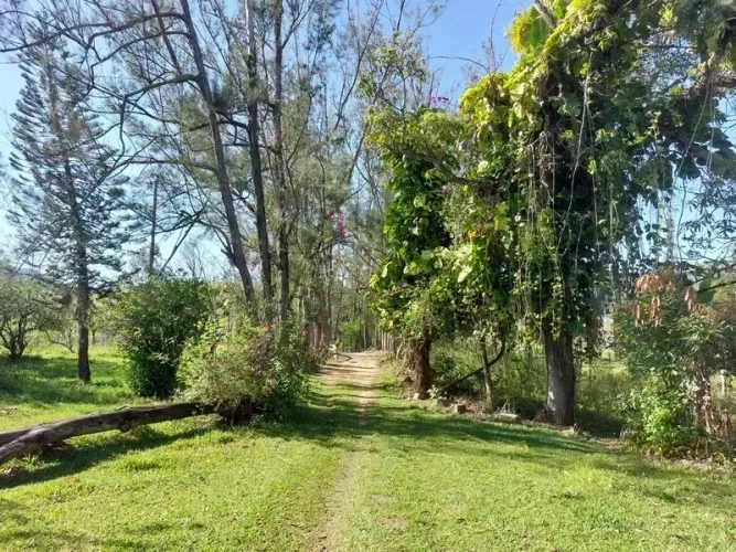 Barrozo Imóveis - Sítio a venda com 18.000 m² com piscina, pastagem, curral, rio na divisa
