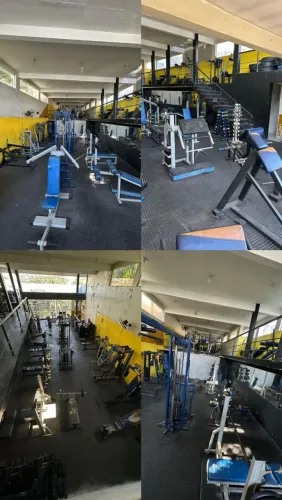 Lote de Aparelhos de Musculação 