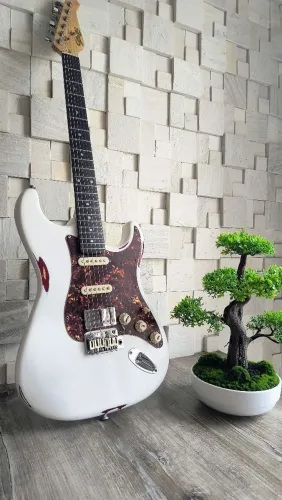 Seizi budokan relic
