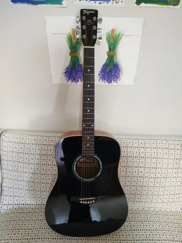 Violão Tagima Woodstock TW25 