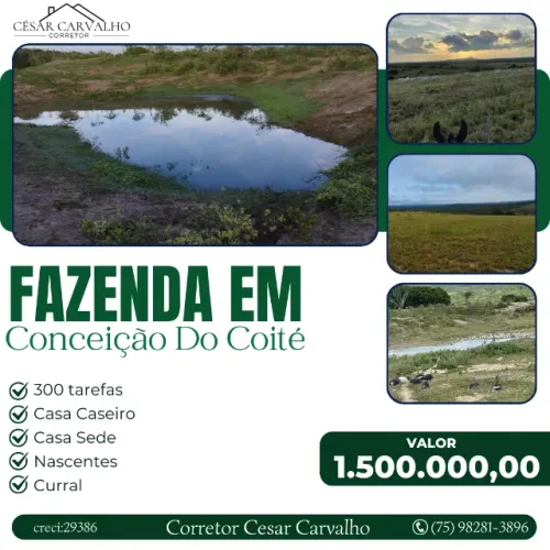 FAZENDA EM CONCEIÇÃO DO COITÉ - 300 TAREFAS
