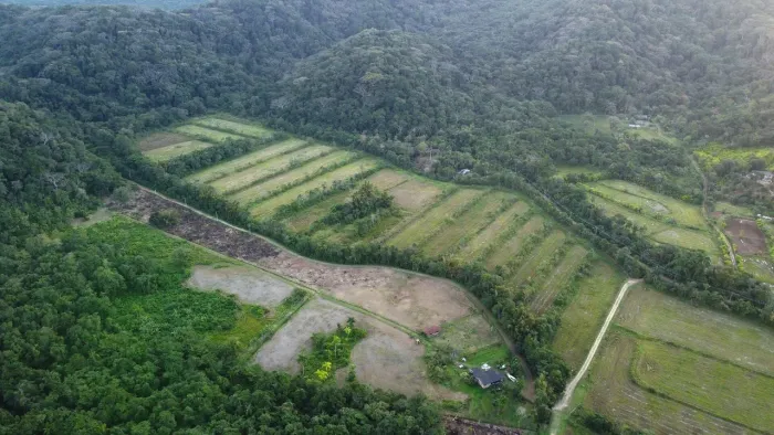 Sítio 14 Alqueires em Itaqui Atividade Cultivo de Arroz ou Piscicultura capacidade mais de