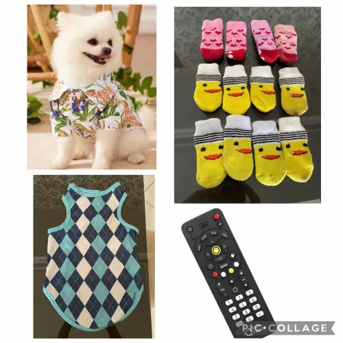 4 roupas para pet meia mordedor cachorro gato 
