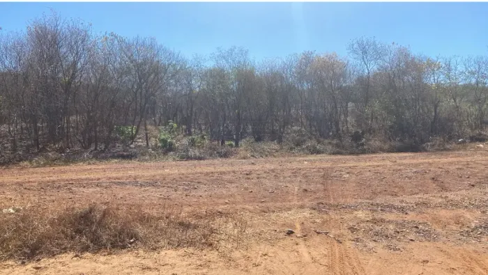 Terreno excelente para uma chácara, com casas vizinhas