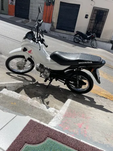 Vendo pop 2023