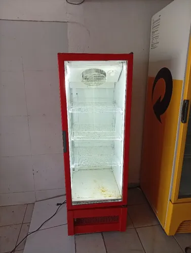 Expositor 230 litros