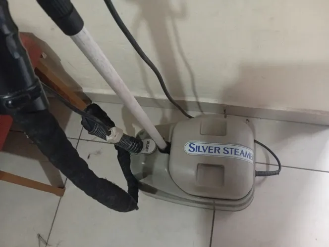 Ferro a vapor profissional silver stream