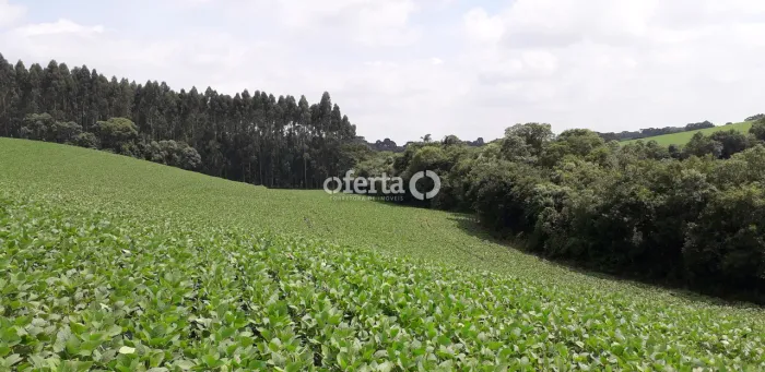 Chácara em Contenda / Campestre