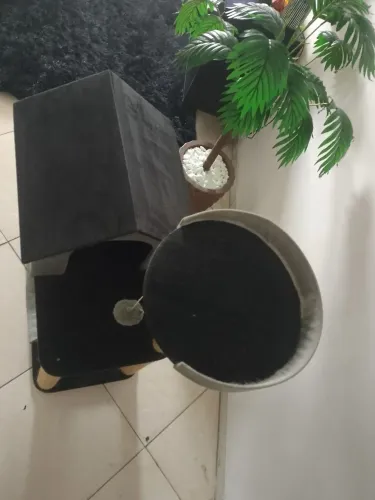 Vendo casinha de gato