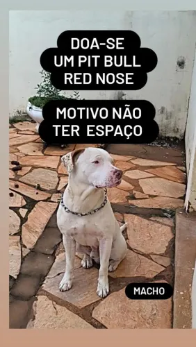 Doa-se