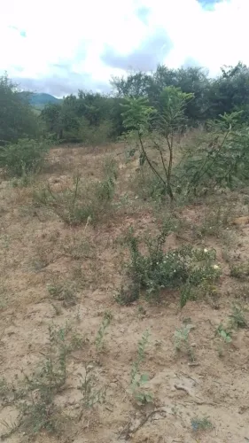 TERRENO À VENDA EM BOA NOVA - BA