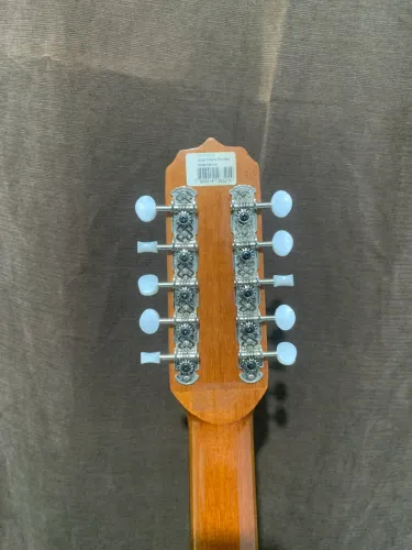 Viola Caipira Ponteio Rozini Elétrica