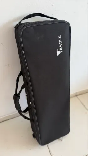 3/4 VIOLINO EAGLE