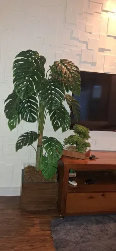 Vaso planta artificial Costela de Adão com Cachepot de Madeira Com Detalhes em Vidro