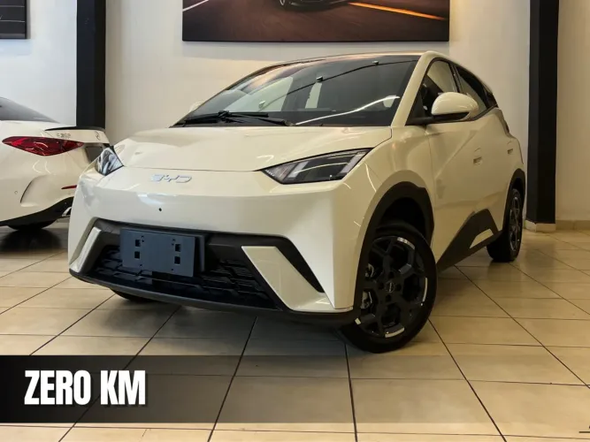 BYD Dolphin Mini (Elétrico) 2027