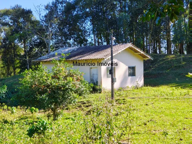 Sitio com 13 hectares, reflorestado com pinus e eucaliptos, com uma casa alvenaria e outra