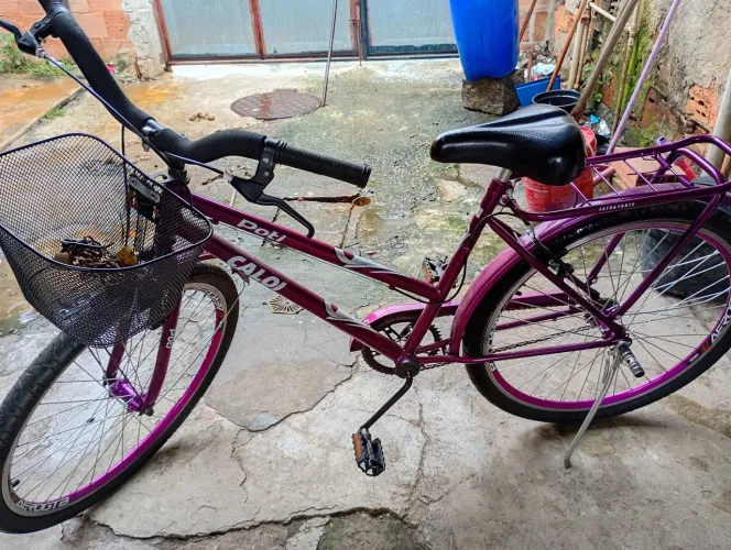 Bicicleta