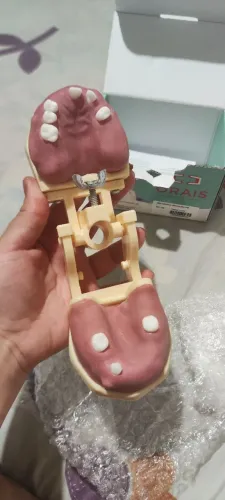 Manequim de cirurgia articulado Orais Novo (Nunca utilizado)