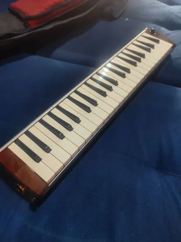 Escaleta Hammond 44 pro 44h eletrificada de fábrica+ acessórios originais 