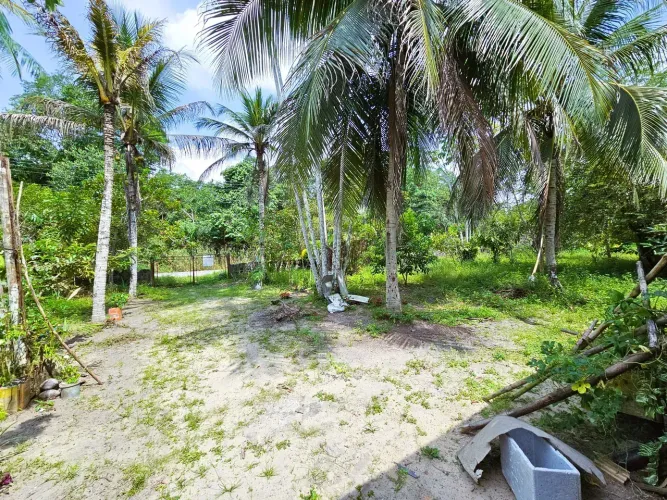 Sítio Terreno Chácara Casa Estrada de Céu Tarumã Manaus-AM 6.200m²