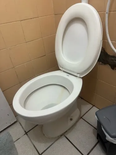 Bacia e Pia com coluna Branco marca Celite