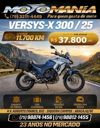 VERSYS 300 TOURER/25