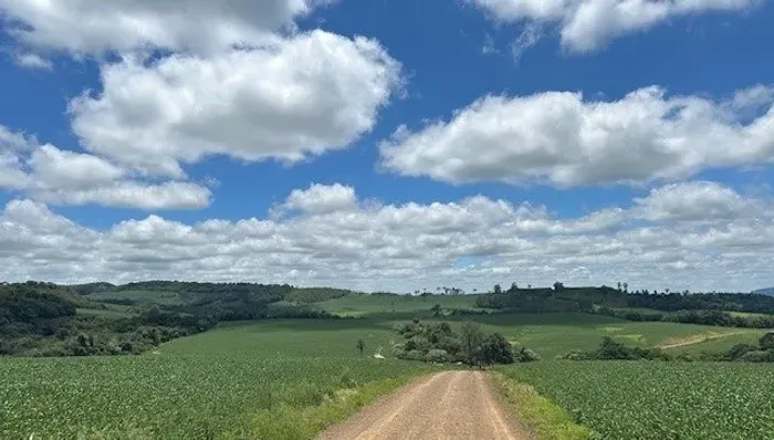 Fazenda 140 Alq. Ortigueira