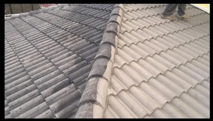 limpeza de telhado df,telhado df,limpa telha df