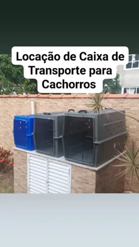 Locação de Caixa de Transporte para Cachorros (viagem Rodoviária)