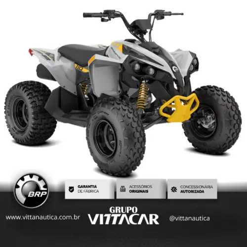 Quadriciclo Can-am 110 Renegade 2024
